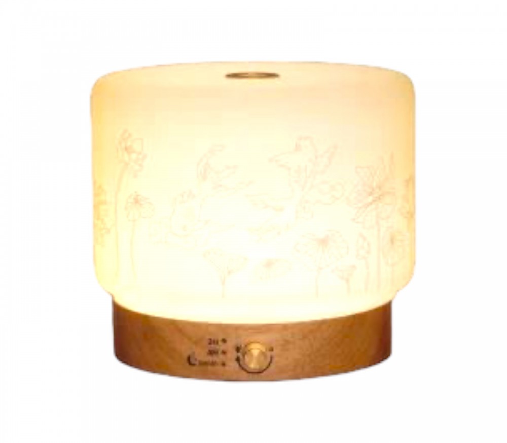 Vendita online: Diffusore Lisalia - per ambienti da 60m2.