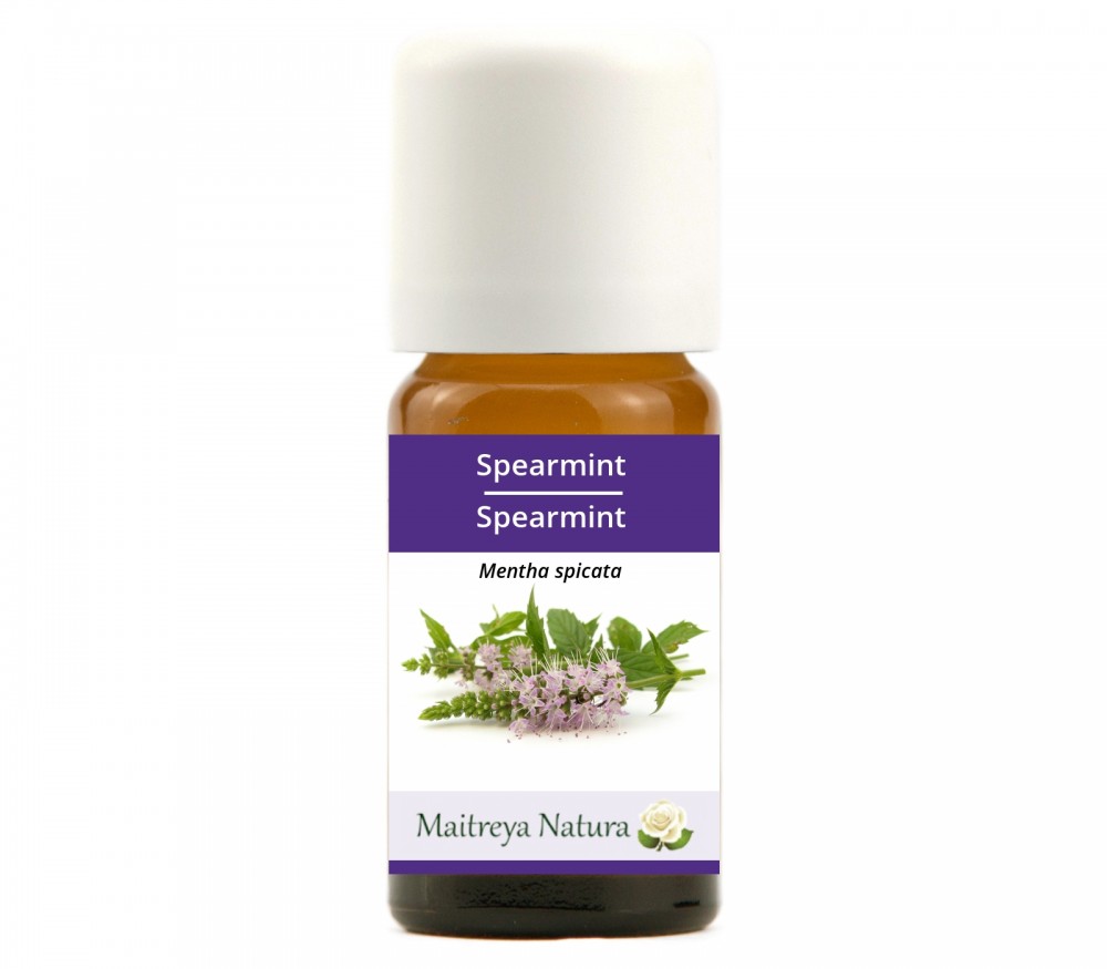 Vendita online: Spearmint Vendita online: Spearmint